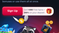 BetFury Bonuses Screenshot