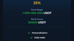 BetFury VIP Program Screenshot