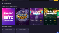 BitStarz Bonuses Screenshot