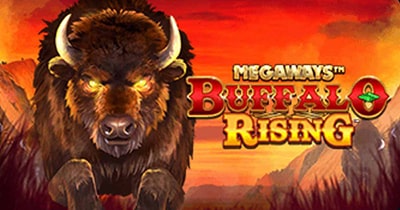 Buffalo rising