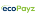 Ecopayz Logo