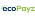 EcoPayz icon
