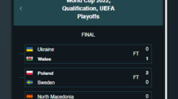 Vave Casino sports stats
