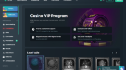 Vave Casino loyalty